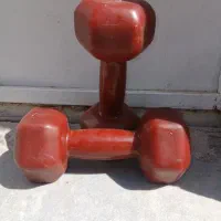 دمبل ۵ کیلویی جفت اش ۱۰ کیلو