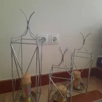 کنار سالنی