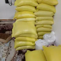 برنج طارم علی کاظمی به شرط پخت