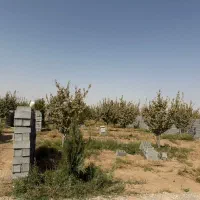 زمین-باغچه-تک-برگ-سند-برق-آب-شهرکی-چکی-دیوار-کشی