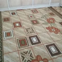 پشتی  کناره قالی|پشتی|تربت‌حیدریه, قائم|دیوار