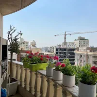 ۲۹۰ مترفرمانیه شرقی/تک واحدی/مناسب سخت پسندان|اجارهٔ آپارتمان|تهران, کامرانیه|دیوار