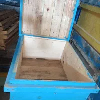 کندو چوب روسی (نراد)
