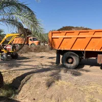 کود مرغ سالنی و قفسی و گاوی