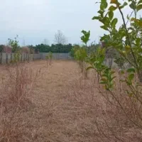 زمین باغی (ملک شخصی)