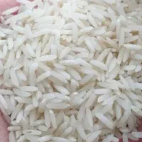 برنج الموت