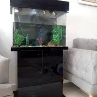 آکواریوم شیشه گرد شرکتی