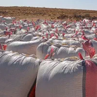 کاه و یونجه|عمده‌فروشی|رباط‌کریم, شهرک صنعتی زواره‌ای|دیوار