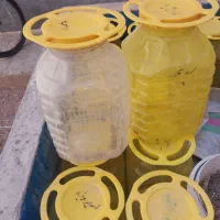 ظرف پلاستیک جای زیتون و ترشی و...|ظروف نگهدارنده، پلاستیکی، یک‌بارمصرف|قم, شهرک مهدیه|دیوار