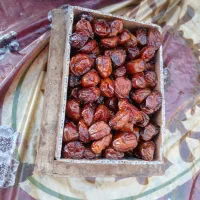 فروش خرمای خاصه اعلا زرد.|خوردنی و آشامیدنی|جم, |دیوار