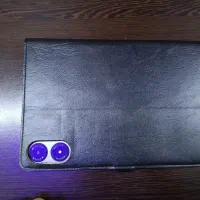 تبلت شیامی|تبلت|صباشهر, |دیوار