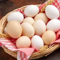 تخم مرغ لاری نطفه دار|حیوانات مزرعه|جم, |دیوار