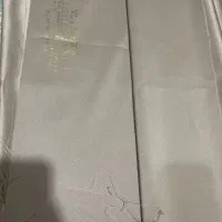 ساتن امریکایی