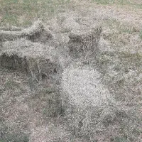 پرس یونجه