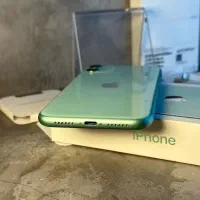 Iphon 11|موبایل|رشت, کاکتوس|دیوار