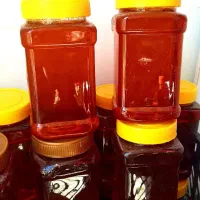 عسل گون و عسل مرکبات