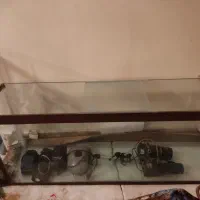 آکواریوم ماهی|ماهی|باسمنج, |دیوار