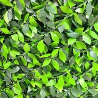 دیوار پوش فنس چمن وفنس برگ ریحونی