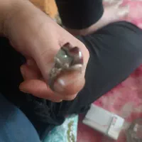 انگشتر نقره