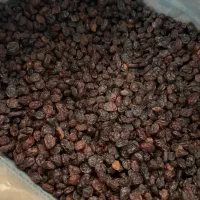 کشمش پلویی درشت