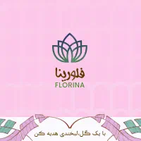 خدمات طراحی گرافیک و تایپ حرفه ای|خدمات رایانه‌ای و موبایل|شیراز, ستارخان|دیوار