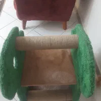 اسکرچر گربه