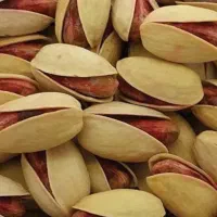 خرید پسته ناخندان به بصورت نقدی وپسته مخلوط