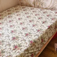 تخت فرفوژه دو نفره همراه تشک طبی|تخت و سرویس خواب|رشت, کاکتوس|دیوار