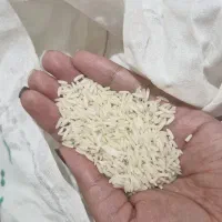 برنج ده کیلویی فوق اعلاّ دمسیاه سالاری سرچشمه