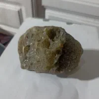 سنگ فسیل دریای کلیکسیونی