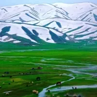 فروش-زمین-برای-خانه-باغ-و-طرح