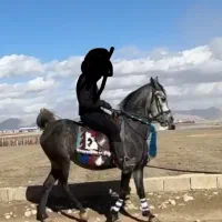مادیون سواری دار بجنگ