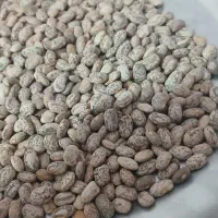 لوبیا چیتی