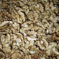 گردو|خوردنی و آشامیدنی|مشگین شهر, |دیوار