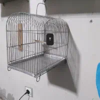 قفس سهره|لوازم جانبی حیوانات|رشت, نخودچر|دیوار