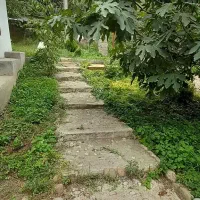 ویلا روستایی ، کوهستانی تالش دو خواب در بست|اجارهٔ کوتاه‌مدت ویلا و باغ|تالش, تالش|دیوار