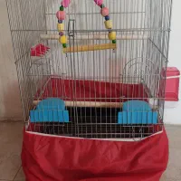 قفس پرنده نو