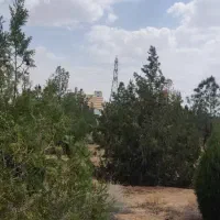 علوفه..خسیل