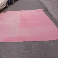 موکت|موکت|زنجان, |دیوار