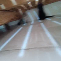 واگذاری بچه گربه|گربه|پرند, فاز ۵|دیوار