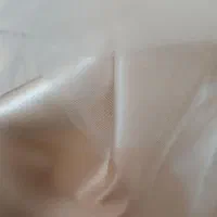 لباس مجلسی|لباس|بابل, |دیوار