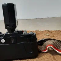 دوربین عکاسی zenith 122|دوربین عکاسی و فیلمبرداری|ایلام, |دیوار