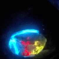 گوهرشب چراغ|کلکسیون اشیاء عتیقه|رباط‌کریم, شهرک درخشان|دیوار