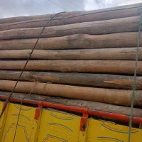 خرید انواع چوب|خدمات باغبانی و درختکاری|خمین, |دیوار