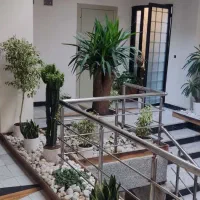 اجرا و دیزاین گل و گیاه آپارتمانی|گل و گیاه طبیعی|کرج, فاز ۱ مهرشهر|دیوار