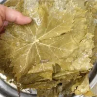 برگ شور باکیفیت