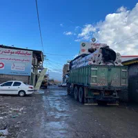 موکت ظریف مصور|موکت|رشت, کوی عرفان|دیوار