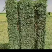 پرس یونجه خشک درجه یک