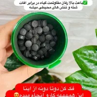 قرص کود ارگانیک|گل و گیاه طبیعی|تهران, ایوانک|دیوار