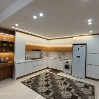 کابینت تیشکاو